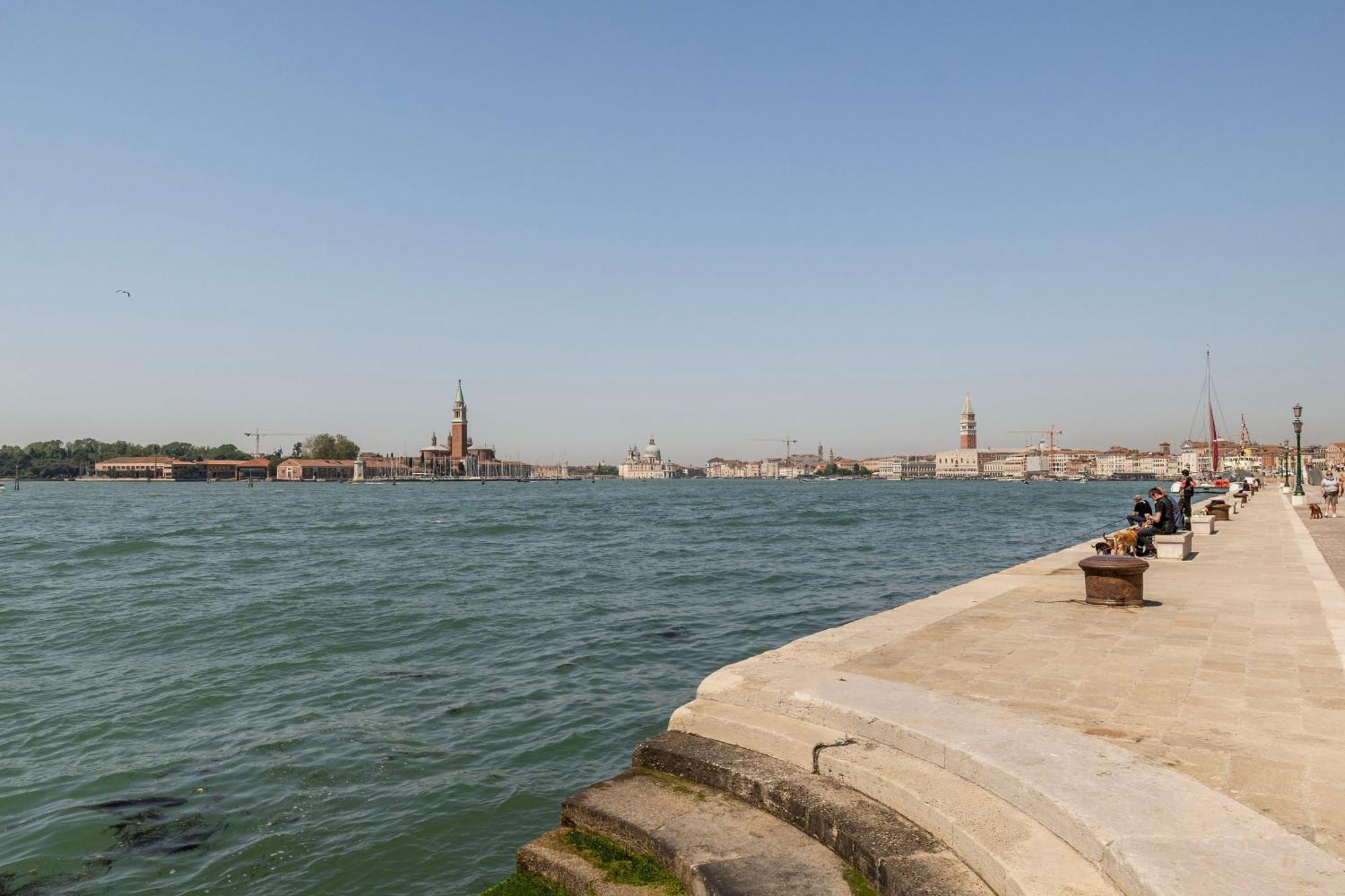 Ca'lina Near Biennale * Venetië